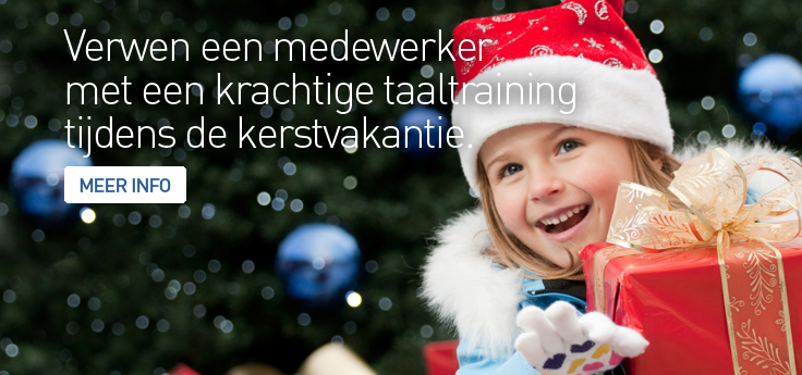 KERST-BANNERS-LERIANSITE-2014-NL2